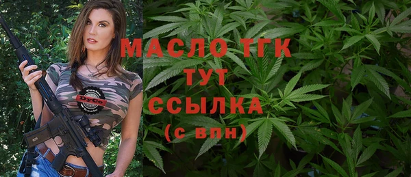 амф Гусь-Хрустальный