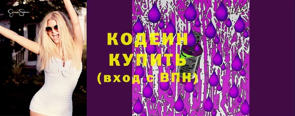 амф Гусь-Хрустальный