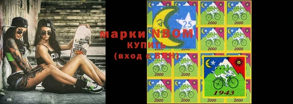 стафф Дмитровск